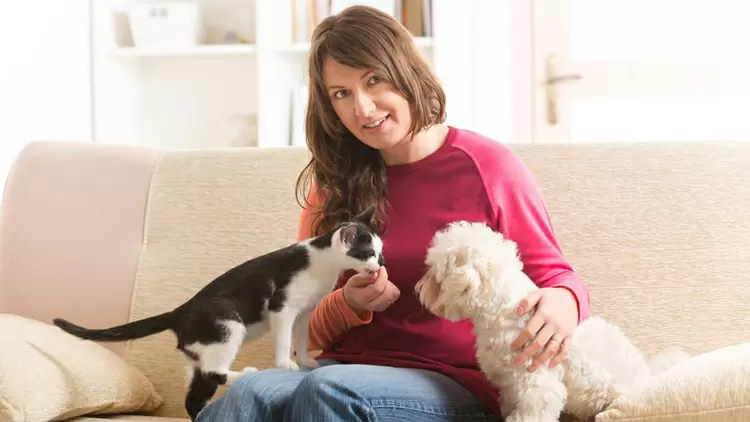 許多動物會信任你。