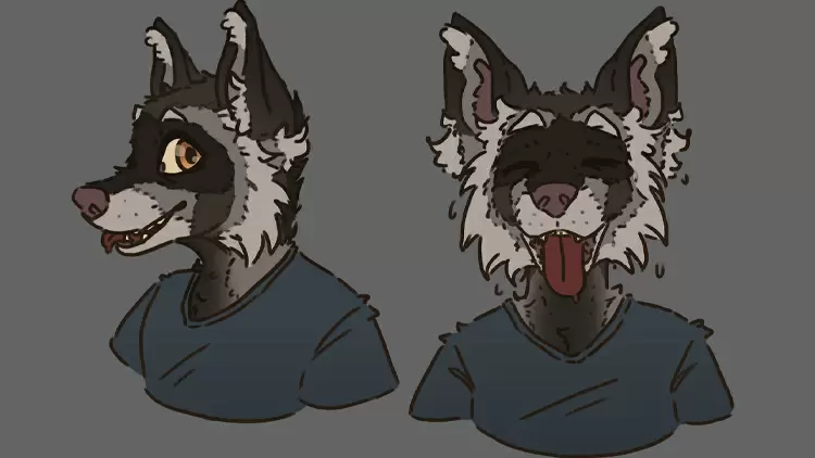 你的毛皮很可能是一隻狗。