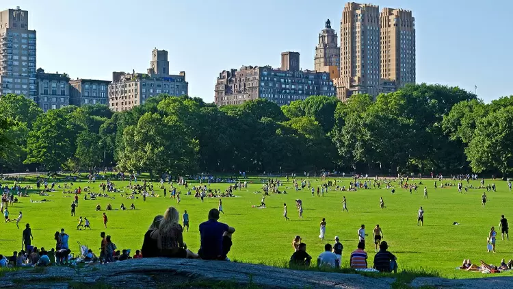 假設你在一個陽光明媚的下午，以下5件事同時發生，你會選擇先做哪一件？