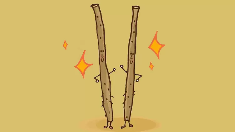 牛蒡：苦幹強人，立誓成為業界扛「蒡」！