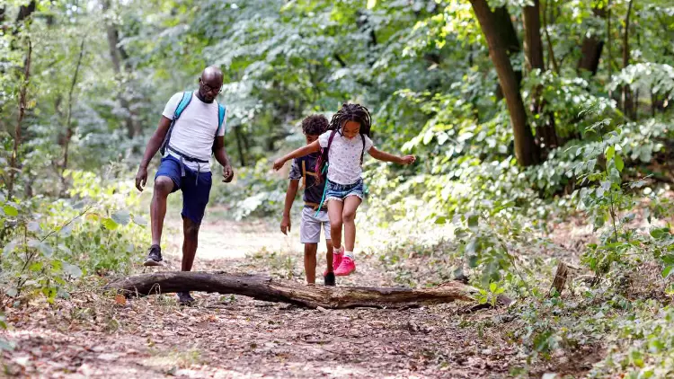 你多久會進行一次身體運動或戶外活動：