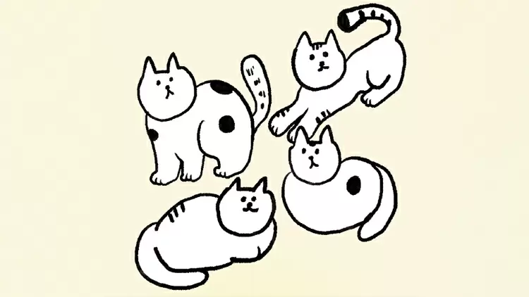 終於到了貓貓國度，你會: