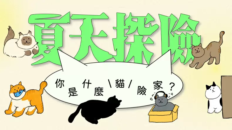 夏天探險「你是什麼貓險家」？貓咪心理測驗！