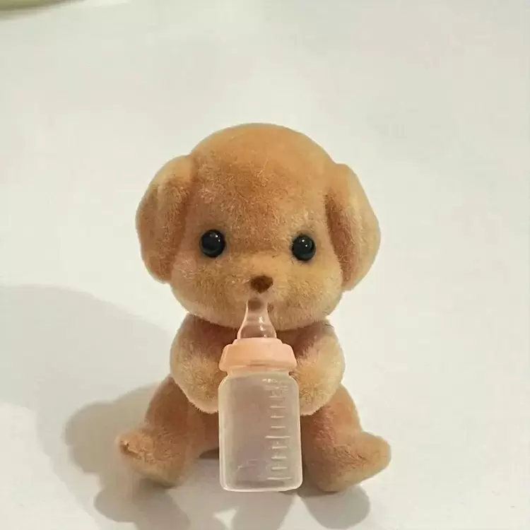 當你準備去野餐時,你會帶上: