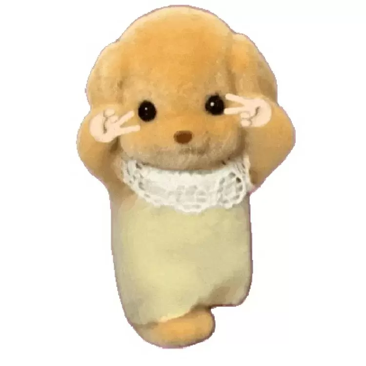 如果你有機會設計一款新的玩具,你希望它具備什麼功能: