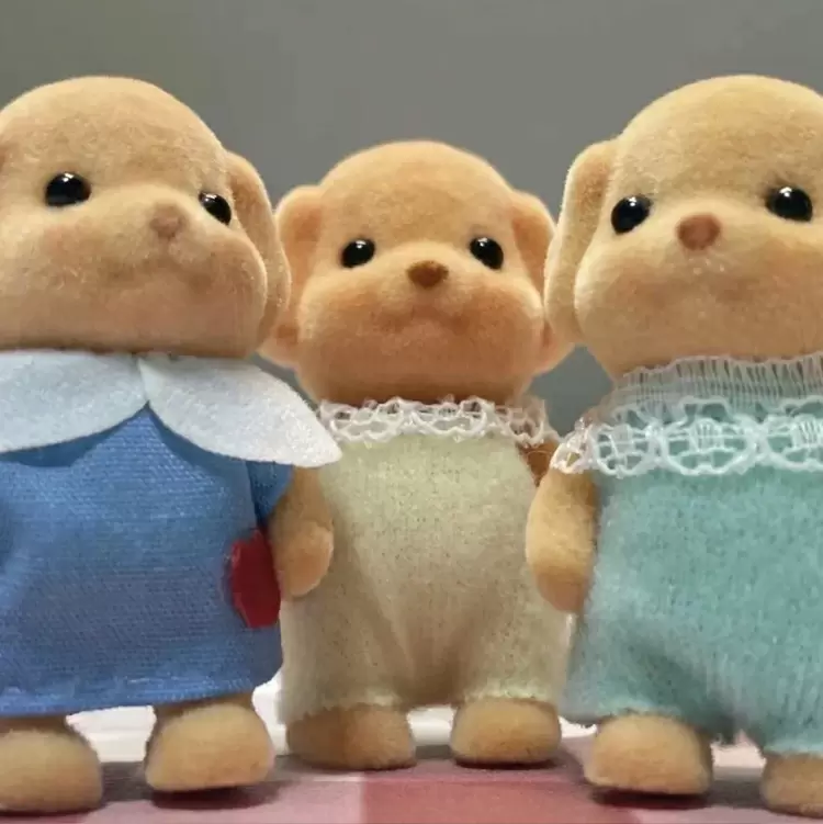 當你想要裝飾你的房間,你會選擇哪種顏色主題: