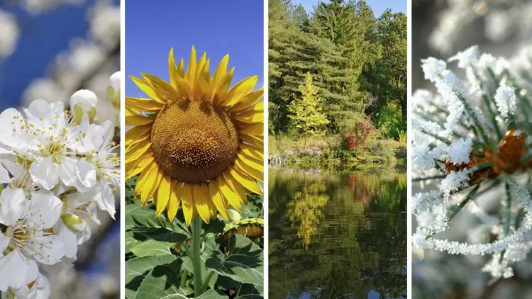 假如你能控制四季更替的順序和時長，你會怎麼做？