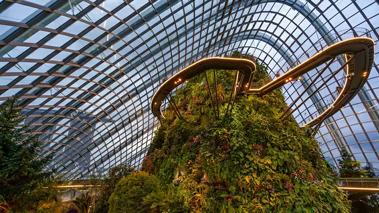 當你參加植物科普展覽時，最吸引你的展品會是：