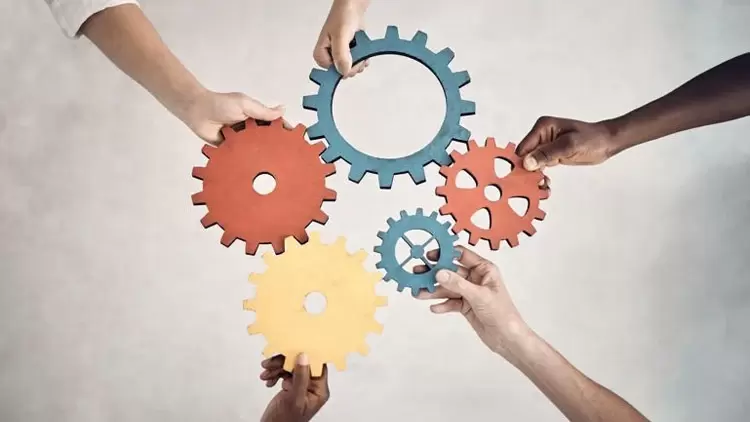 你如何處理小組任務？