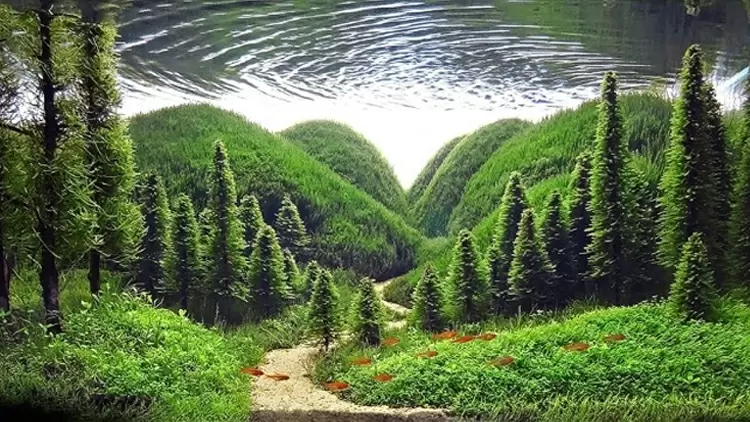 我欣賞周圍世界的美麗和獨特。