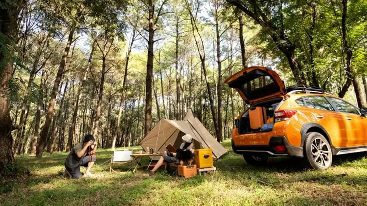 你喜歡去露營嗎？