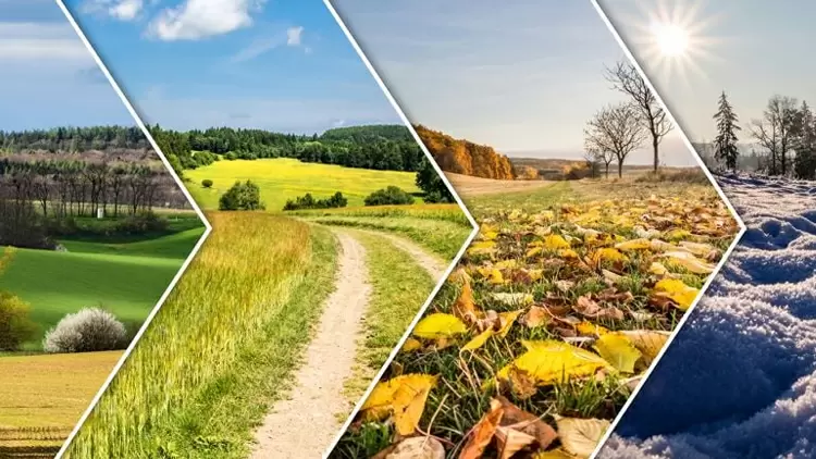 一年中你最喜歡哪個季節？