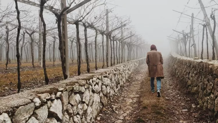 “不依賴別人是明智的，因為當他們離開時，傷害會更小。”你同意這一點嗎？