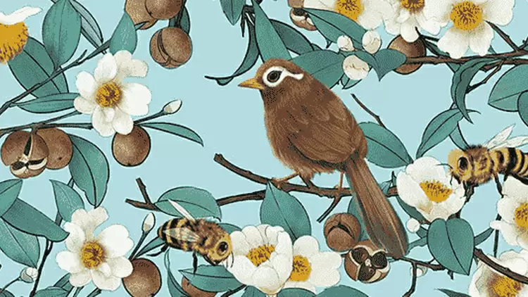 你首先注意到圖片的哪一部分？