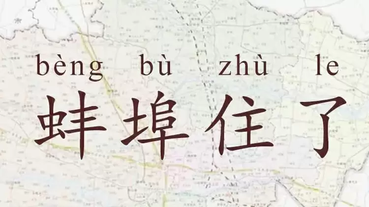 當談到雙關語、妙語或隱喻時,你: