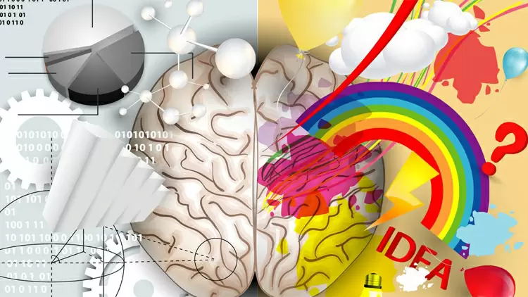 在你的大腦中，是右半球主宰著你的生活。