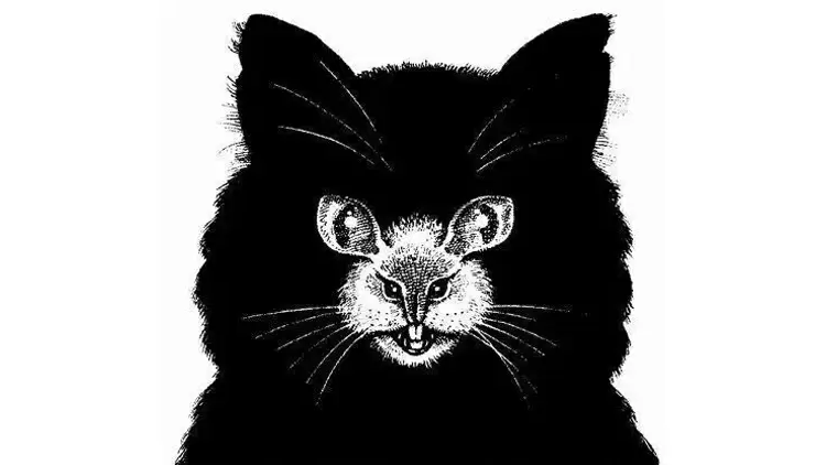 你最先看到的是什麼?