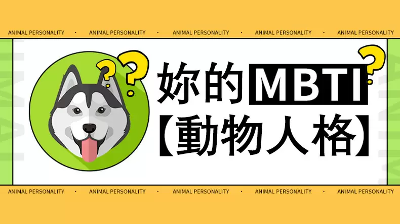 16種動物特質測驗「你的MBTI動物人格」是哪種?