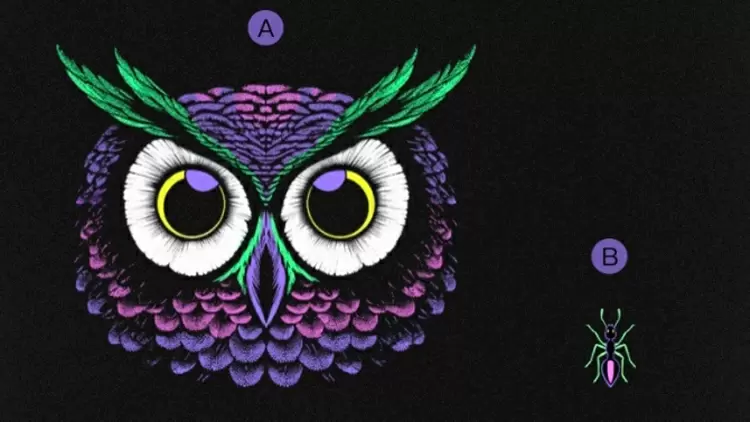 有一隻動物,知道你內心最深處的秘密,你覺得會是誰呢?