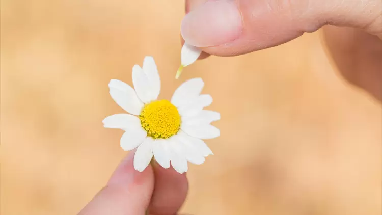 他似乎更傾向於將你視為一位親密的朋友。