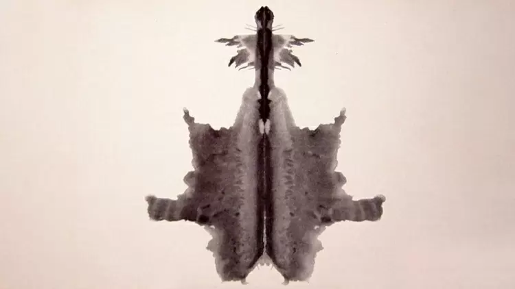 哪個最像您在圖片中看到的？