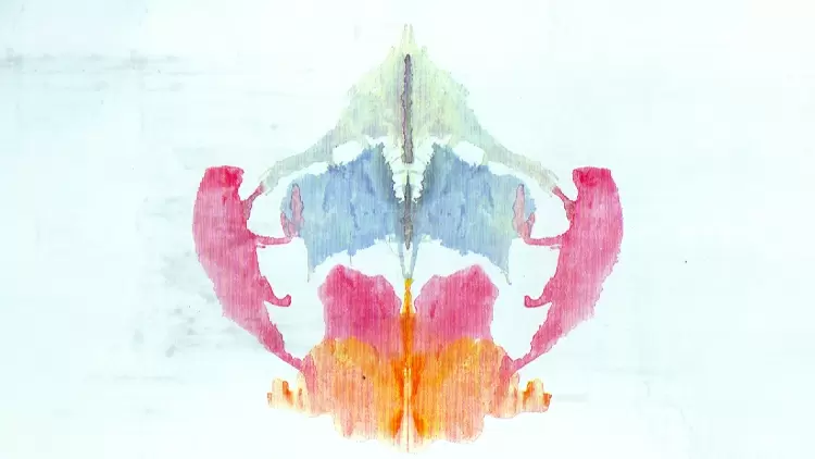 哪個最像您在圖片中看到的？