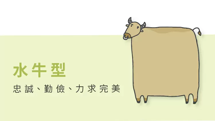 水牛型