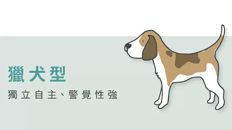 獵犬型