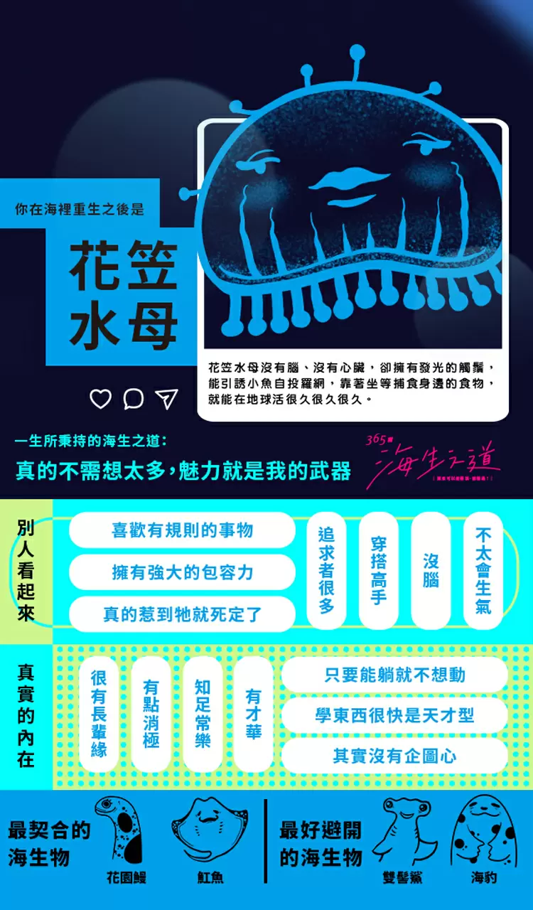 你在海裡重生之後是花笠水母