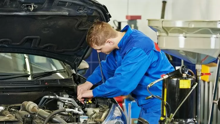 我對汽車司機、汽車修理工職業比較有興趣。