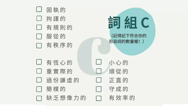 C型 - 常规型/传统型（Conventional）