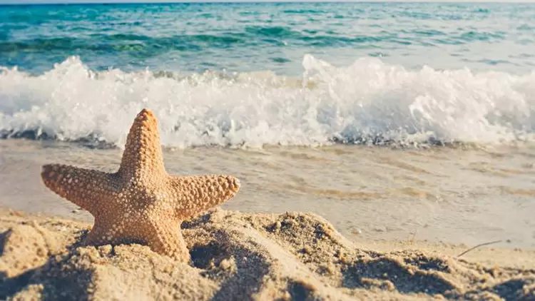 嗨皮小太陽，朋友圈的開心果