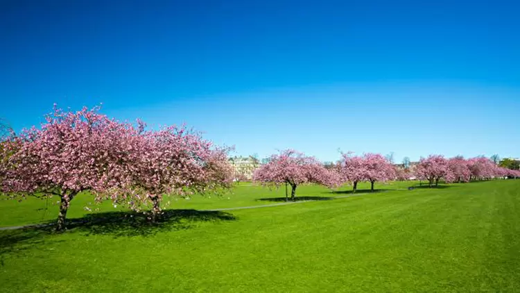 聰明小勇士，朋友間的仗義擔當