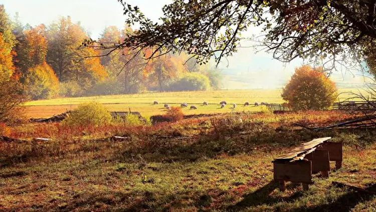 穩重小能手，困難前的可靠支柱