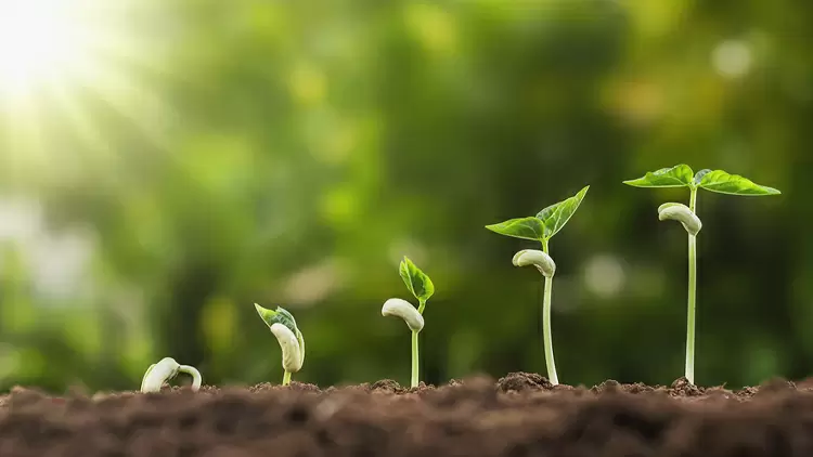 我會將任務分解為明確、可量化的小目標。