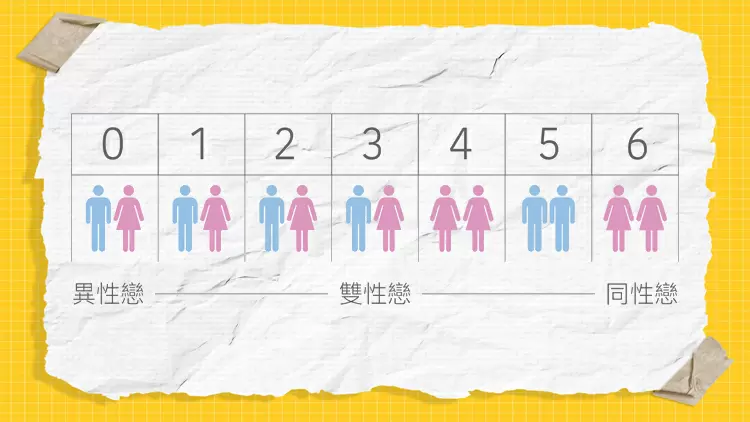有可能是同性戀或雙性戀