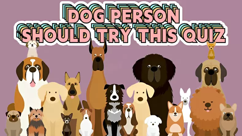 你的性格最像哪種狗狗？心理測驗你是哪種狗？