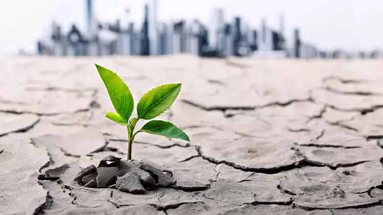 如果你在一個需要犧牲大自然環境來獲得經濟利益的專案中工作，你會怎麼做？