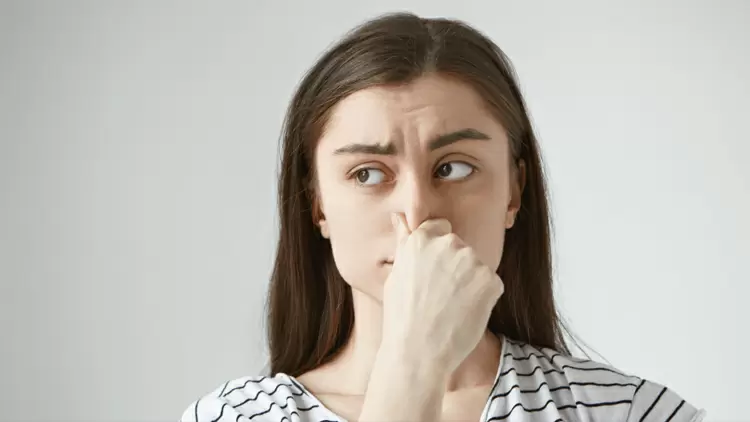 你對氣味的敏感性: