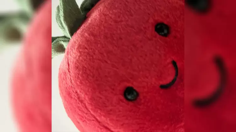 如果有一個魔法背包,能掏出你需要的東西,你希望首先掏出的是?