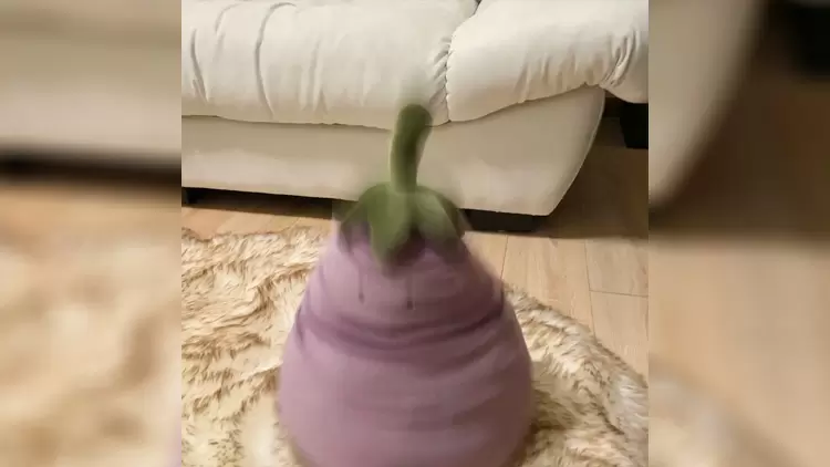 以下哪一種童話交通工具你最想擁有?