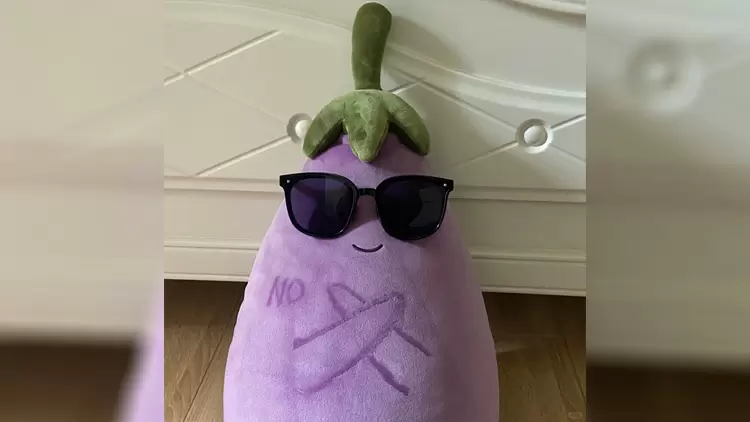 如果你能變成一種海洋生物,你希望自己是?