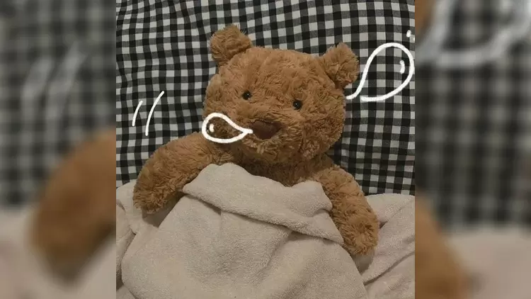 如果你能擁有一個專屬的秘密基地,你希望它在那裡?