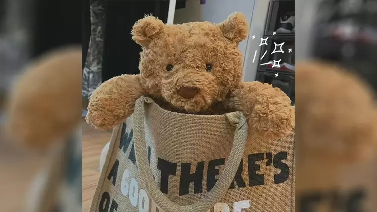 如果你將被流放到一個星球,你希望這個星球的環境是怎麼樣的?