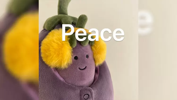 如果你能夠選擇一種新的感官體驗來增強日常生活,你希望它是什麼?