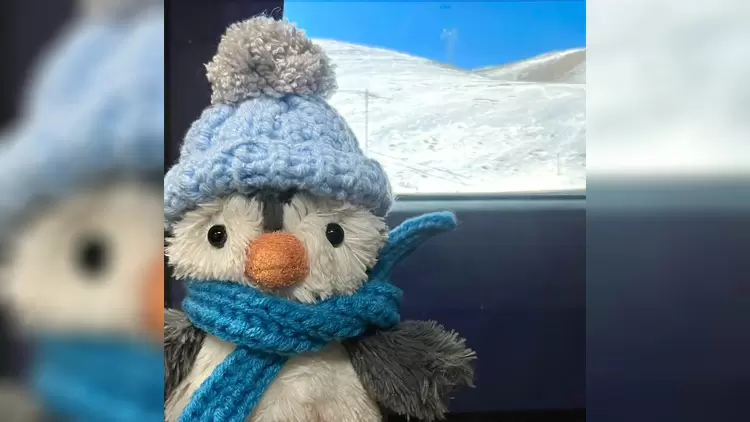 花生企鵝Peanut Penguin