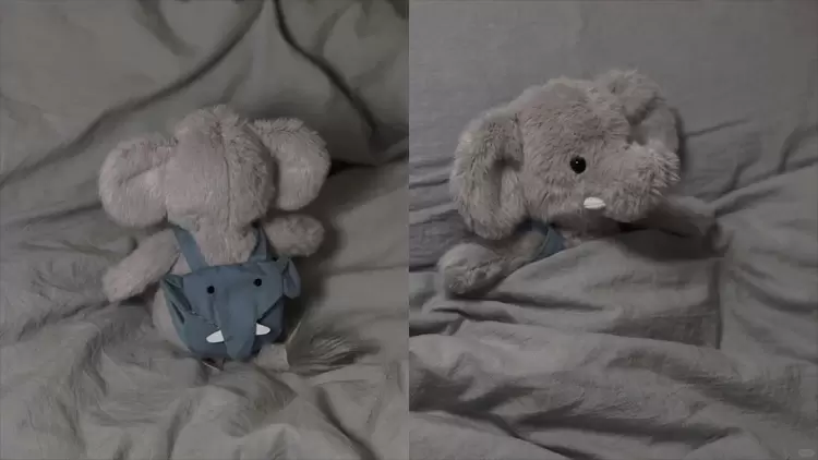 背包小象Backpack Elephant