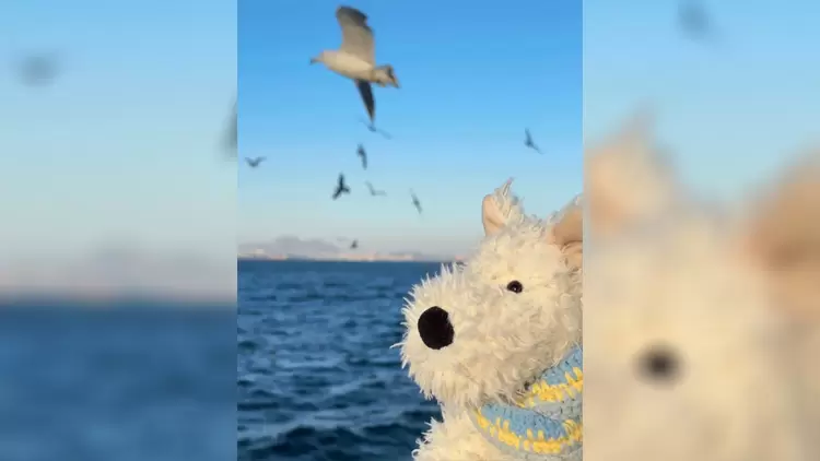 蘇格蘭狗Munro Scottie Dog