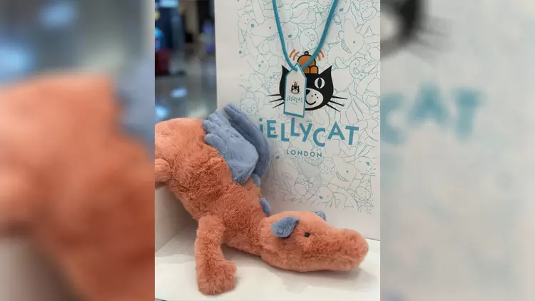 柿子雪龍Persimmon Dragon