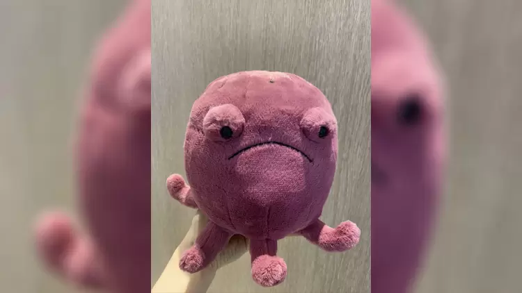 哭哭章魚Ondre Octopus